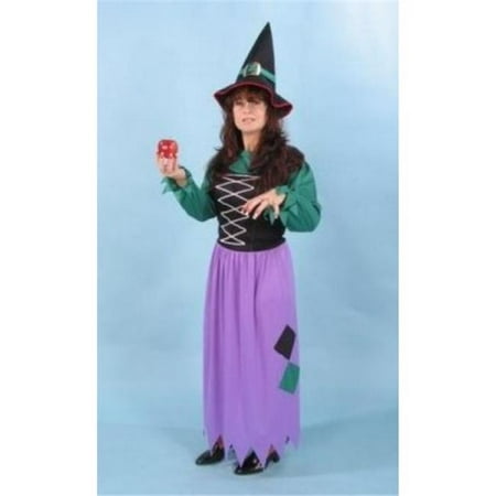 Alexanders Costumes 26-333 Melinda The Witch Costume, Small