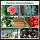thumbnail image 5 of 10pcs Organic coconut fiber for plants, organic coconut bricks, 5 of 5