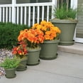 thumbnail image 3 of Bloem 8-in Terra Round Resin Planter - Living Green (Saucer Not Included), 3 of 7