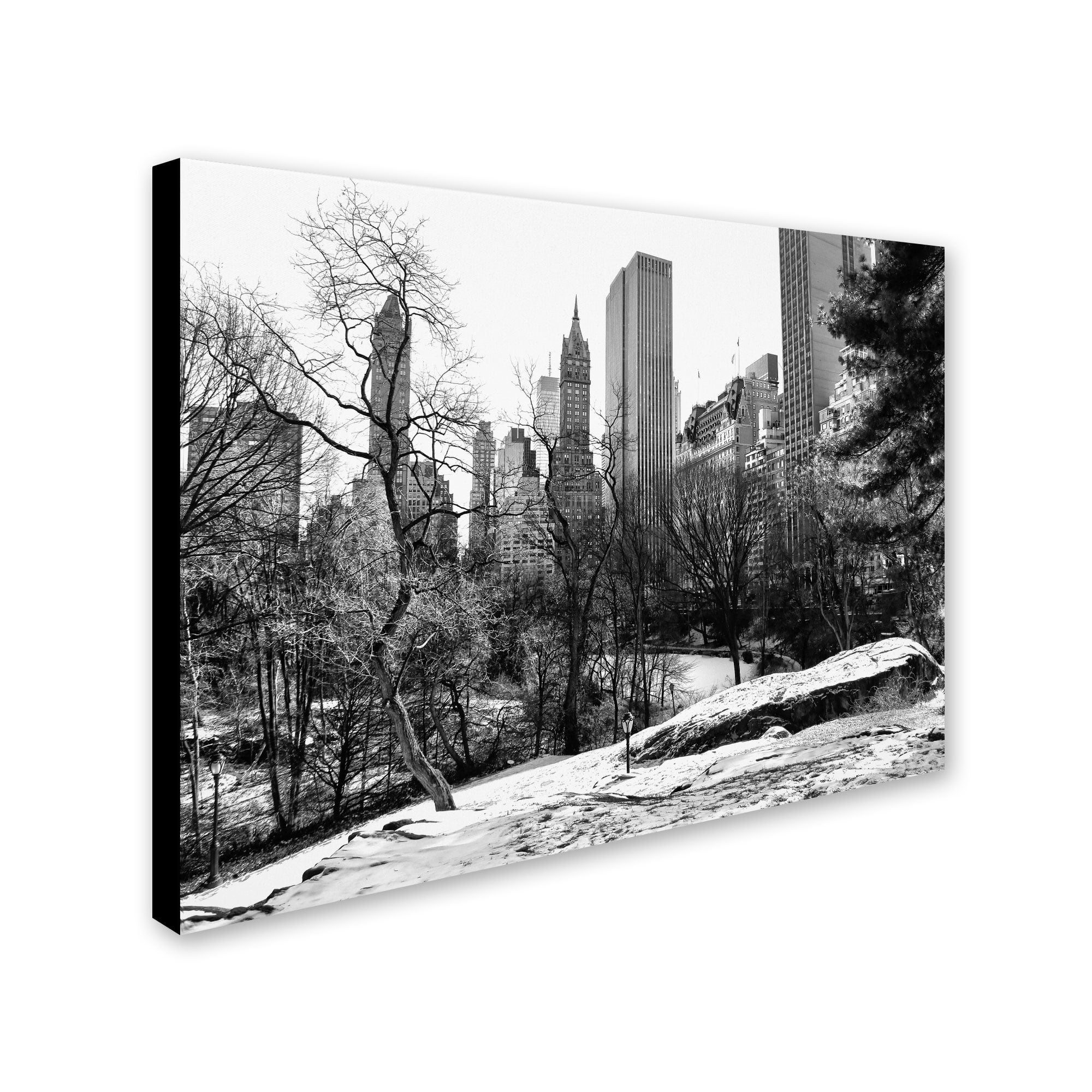 Trademark Fine Art "Central Park" Canvas Art by CATeyes