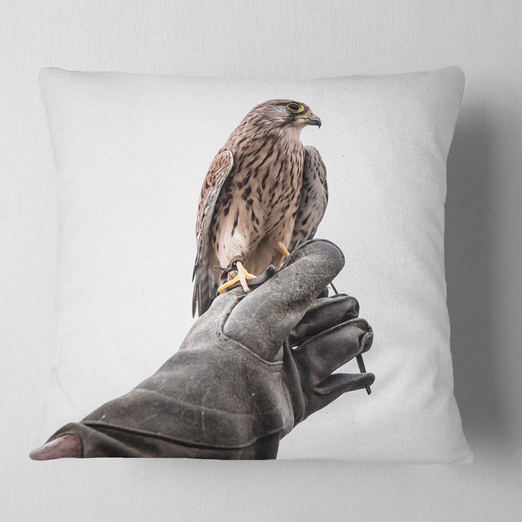 Designart Kestrel Sitting on Falconer Hand - Abstract Throw Pillow - 16x16