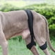 thumbnail image 1 of Soporte de cadera para perro, correa auxiliar, soporte de articulación de cadera, Protector de patas traseras para perros mayores, discapacitados, S, 1 of 8