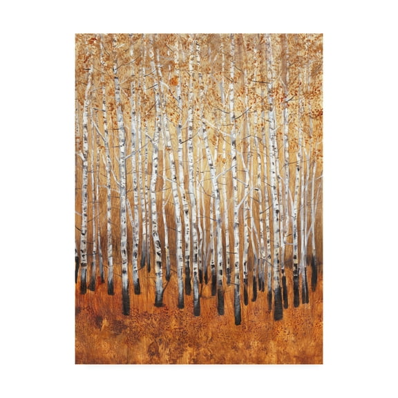 Sienna Birches I' Canvas Art by Tim OToole