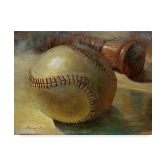 Trademark Fine Art 'Baseball With Bat' Canvas Art by Hall Groat Ii