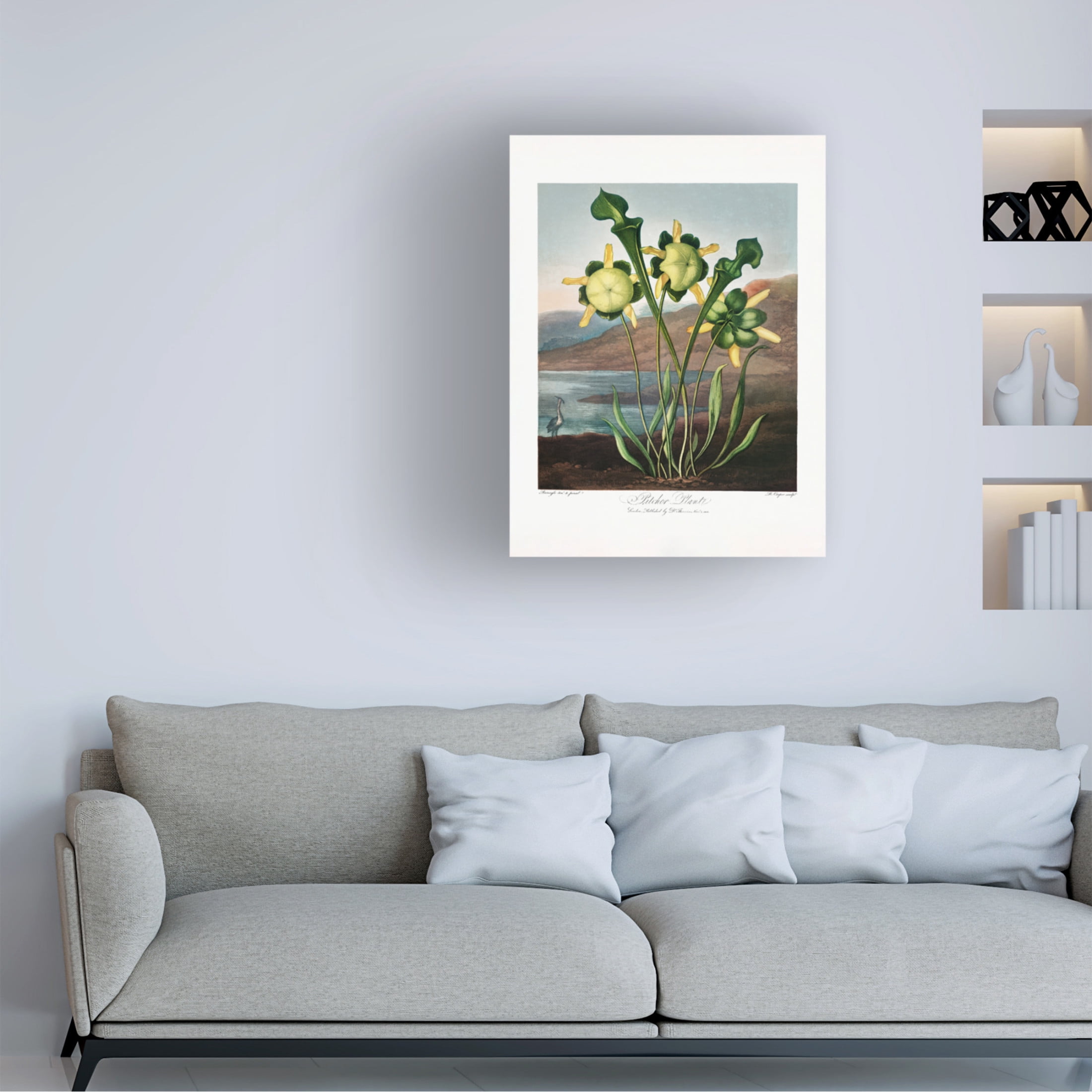 Trademark Fine Art Pictufy  Pitcher Plant from The Temple of Flora 1807 Canvas Wall Art