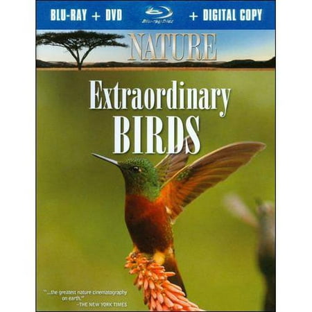 Nature: Extraordinary Birds (Blu-ray + DVD + Digital (Best Hd Videos Of Nature)