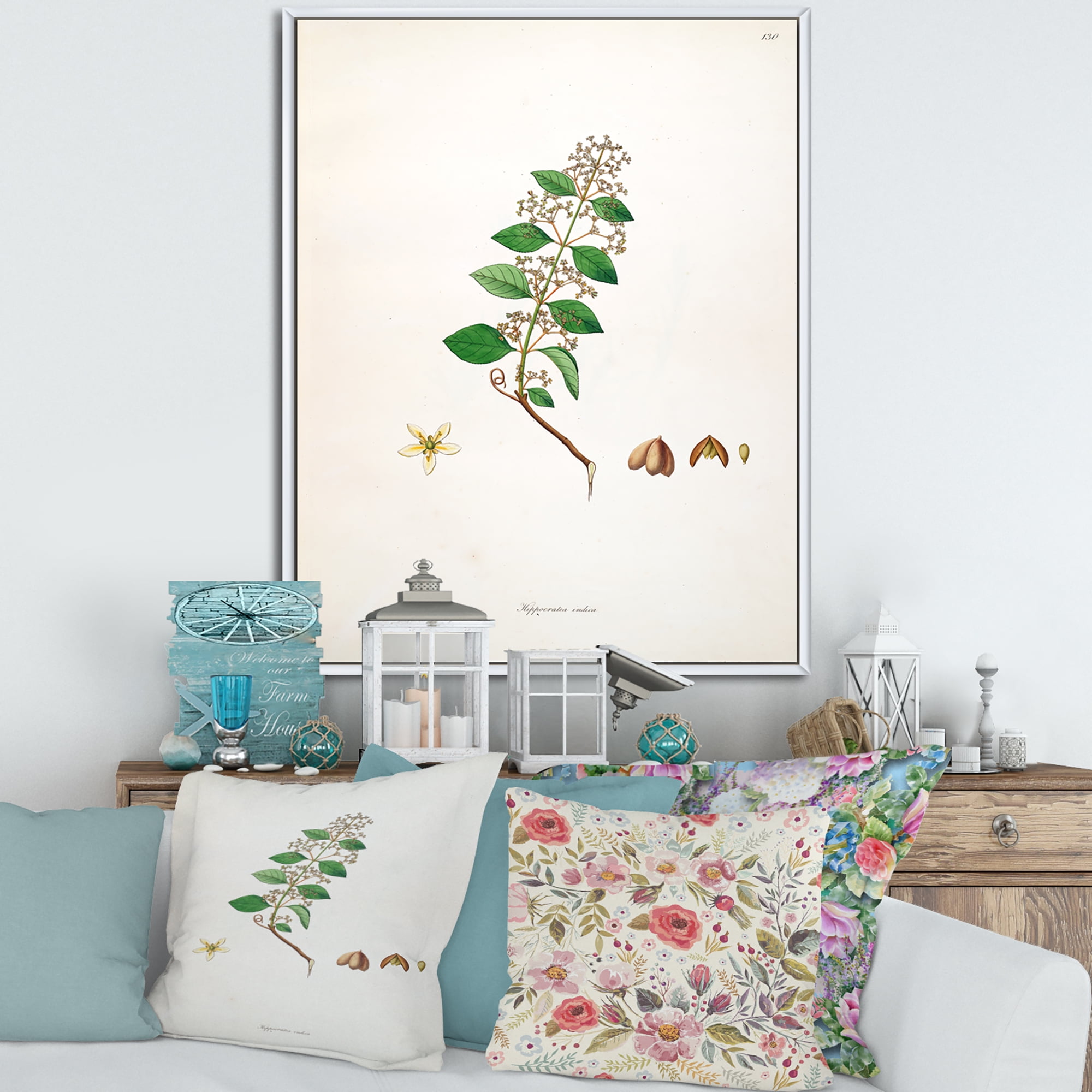 Designart 'Ancient Botanicals I' Farmhouse Framed Canvas Wall Art Print