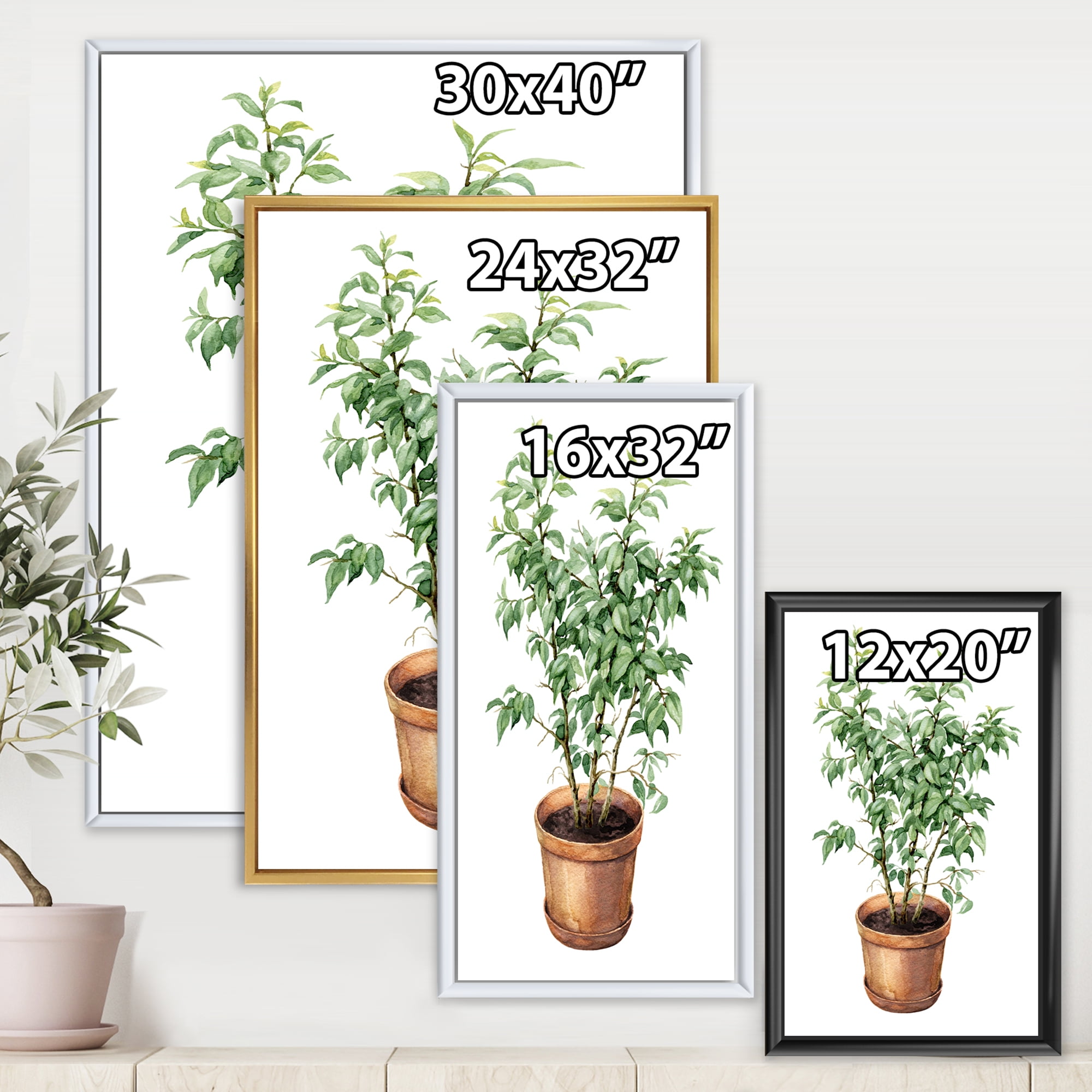 Designart 'Ficus Benjamina Plant In Clay Flowerpot' Traditional Framed Canvas Wall Art Print