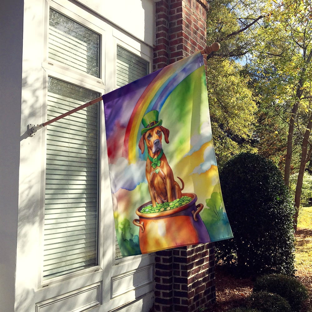 Rhodesian Ridgeback St Patricks Day House Flag