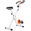 Xspec Foldable Stationary Upright Exercise Bike Cardio Workout Indoor Cycling, Blue/Orange