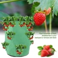 thumbnail image 4 of Planting Growing Bag Multi Mouth Potato Strawberry Planter Pot Vegetable Container Garden Supplies, 4 of 7