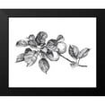 thumbnail image 2 of Scarvey, Emma 14x12 Black Modern Framed Museum Art Print Titled - Apple Etching I, 2 of 5