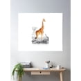 thumbnail image 2 of Vintage Giraffe Illustration - Cool Retro Design Poster Wall Art, Modern Wall Decor For Living Room Bedroom, 8x12 UNFRAMED, 2 of 3