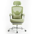 thumbnail image 5 of CONCETTA Ergonomic High Back Mesh Office Chair with Headrest, Footrest, Armrests for Adults, Green, 5 of 8