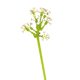 thumbnail image 1 of Regalo de Pascua, ramo de bloques de flores, día de la madre, día de San Valentín, aniversario, regalo de bricolaje de Acción de Gracias, educación de partículas peque?as LingWen 8390612188732, 1 of 1