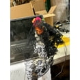 thumbnail image 2 of Sunstar Halloween Dressed Day of Dead Skeleton A/2 16 inches, 2 of 6