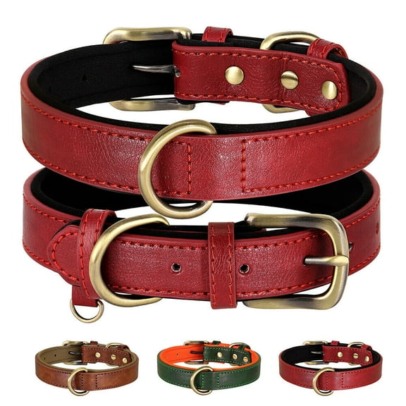 Didog Soft Leather Dog Collar Heavy Duty Durable Brass Buckle for Small Medium Large Dogs Brown Red Green