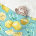thumbnail image 2 of Naloa Yellow Lemon Dog Blanket, 3 Sizes Cat Blanket for Indoor Cats Large Medium Small Dog Gifts-Medium, 2 of 8