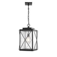 thumbnail image 3 of Millennium Lighting  Robinson 1 Light Metal Outdoor Hanging Lantern With Clear Seeded Glass Shades Powder Coat Bronze Bronze Painted,Brushed, 3 of 3