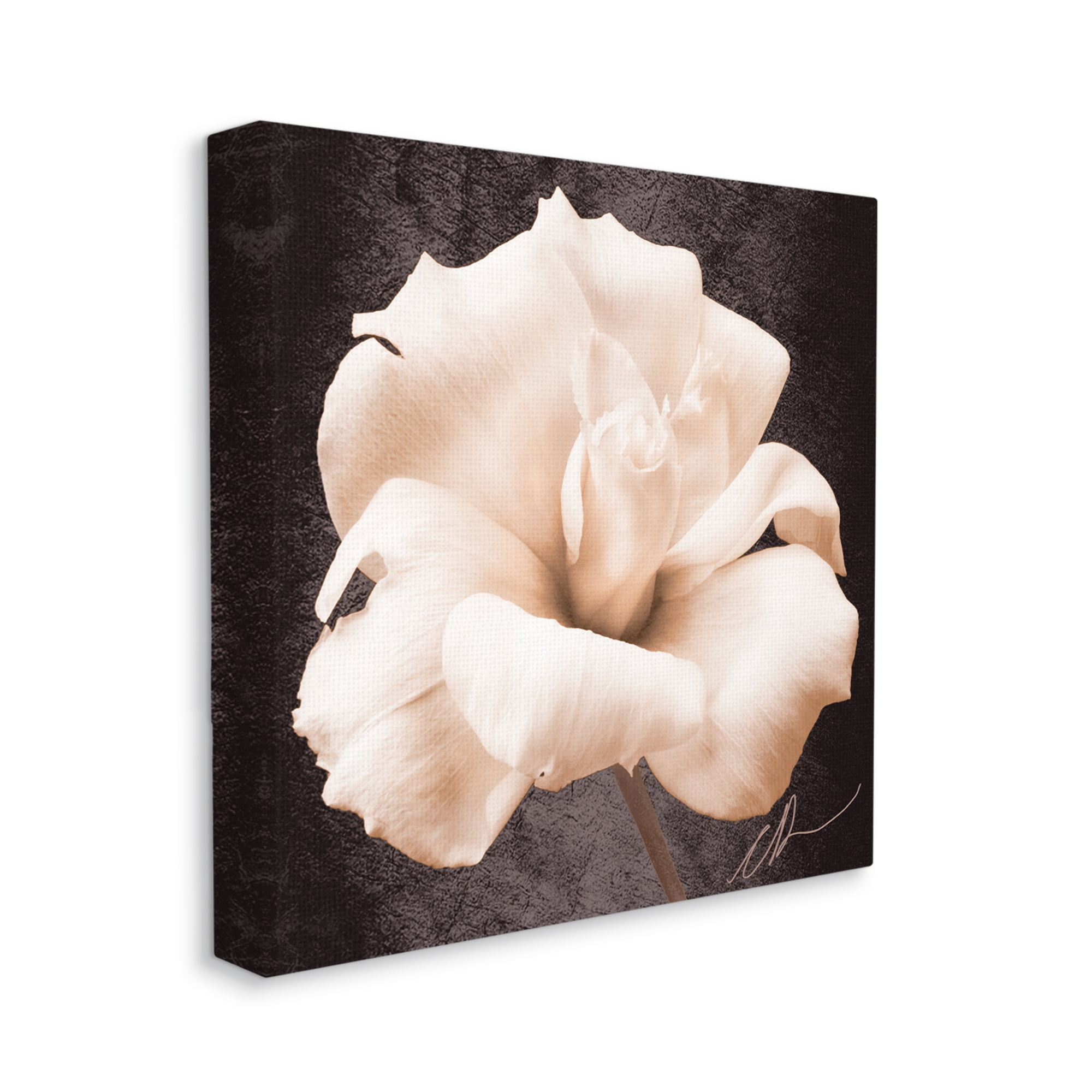 Stupell Industries Rose Petal Photography Botanical & Floral Painting Gallery Wrapped Canvas Art Print Wall Art, 17 x 17