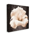 thumbnail image 4 of Stupell Industries Rose Petal Photography Botanical & Floral Painting Gallery Wrapped Canvas Art Print Wall Art, 36 x 36, 4 of 8