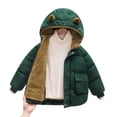 thumbnail image 3 of Hotiary Winter Solid Color Plush and Thick Cotton Clothes for Boys and Girls Hooded Down Cotton Jacket for 2-7 Years Toddler Kids, 3 of 6