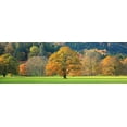 thumbnail image 2 of Anonymous 14x7 Gold Ornate Wood Framed with Double Matting Museum Art Print Titled - Mixed trees in autumn colour Scotland, 2 of 4