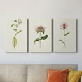 thumbnail image 2 of Mauve Garden Flowers IV Premium Gallery Wrapped Canvas - Ready to Hang - 24 x 36 Each, 2 of 10