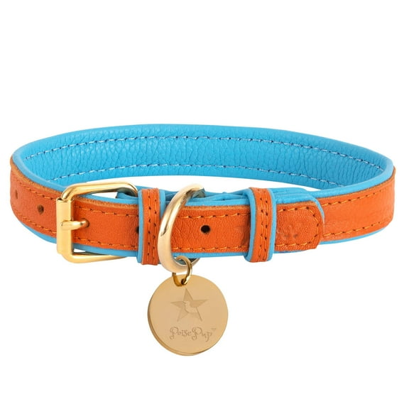 PoisePup Pet Dog Collar - Vibrant Sunset