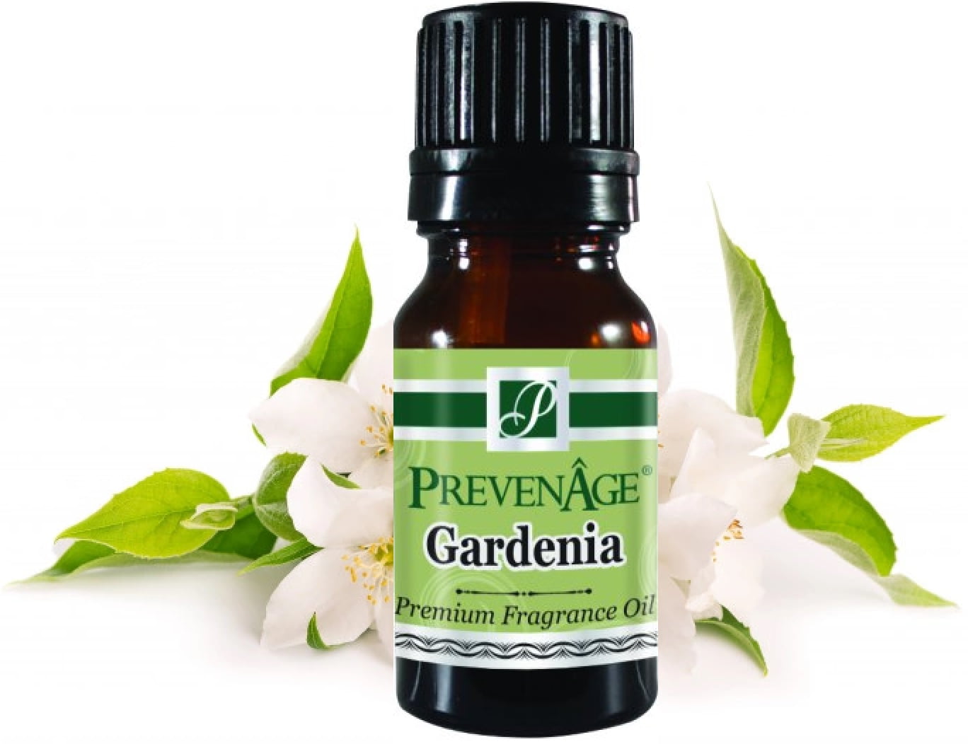 Gardenia Fragrance Oil Aromatic Scented Perfume Oil Perfume 10 mL by