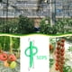 thumbnail image 5 of Soporte para tomates con ganchos en J y cuerda para evitar que se pellizquen. verde, 5 of 9
