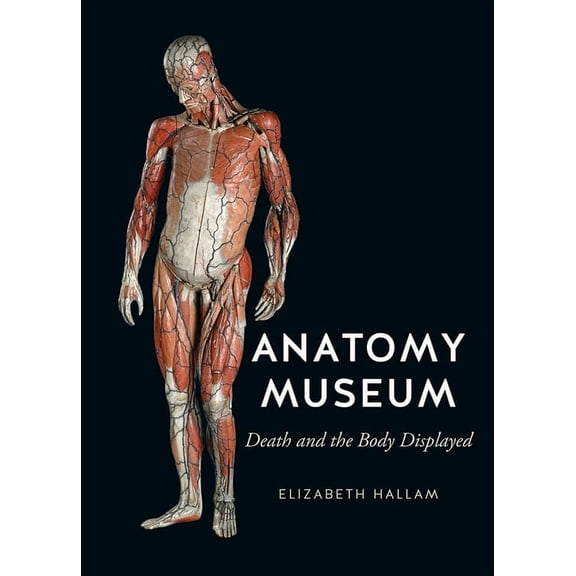 Anatomy Museum : Death and the Body Displayed (Hardcover)