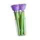 thumbnail image 5 of 5 clips para bolsas de patatas fritas Macarena con caja de almacenamiento Rosa purpura, 5 of 8