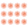 thumbnail image 1 of Uxcell 12-Pack Flores de Gasa 1.97 x 1.97 Pulgadas Flores de Tela de Malla para Decoración del Hogar y DIY Rosa Caqui, 1 of 6