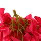 thumbnail image 3 of Cabezas de flores artificiales Colcomx 6 piezas decoración nupcial boda, 3 of 8