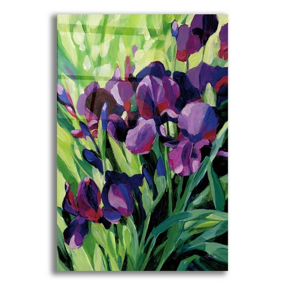 Epic Art 'Purple Iris' by Katrina Pete Acrylic Glass Wall Art, 16" x 24"