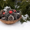 thumbnail image 6 of Pine Cones 36 Pcs, Small Christmas PineCones Hanging Ornament, Snow Pinecones with String for Christmas Tree Gift Tag Party Decoration (Snow,1.18-1.57 Inch), 6 of 7