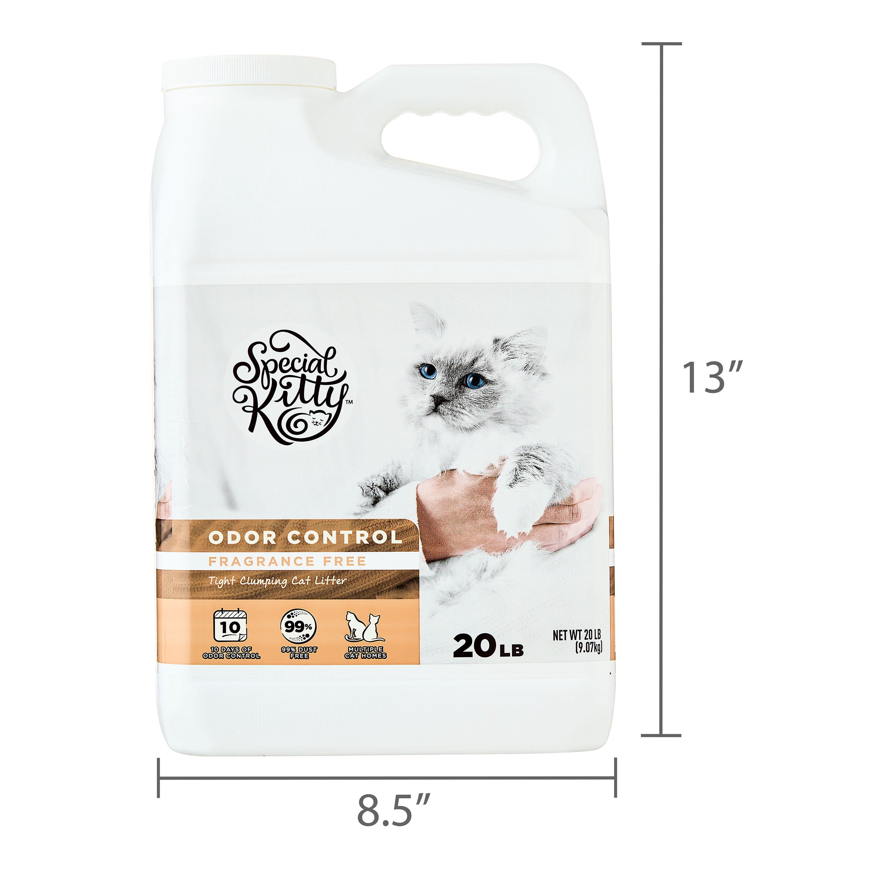 (4 pack) Special Kitty Clumping Clay Cat Litter, Unscented, 20 lbs Jug, 1 Count