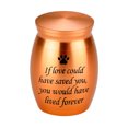 thumbnail image 1 of Guardoinrt Metal Urn Enduring Beloved Small Memories Pet Print Urn Storage Corrode Animal Made Preserve Pet S Commemorative gold, 1 of 6