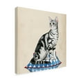 thumbnail image 2 of Trademark Fine Art 'Lady Cat I' Canvas Art by Grace Popp, 2 of 4