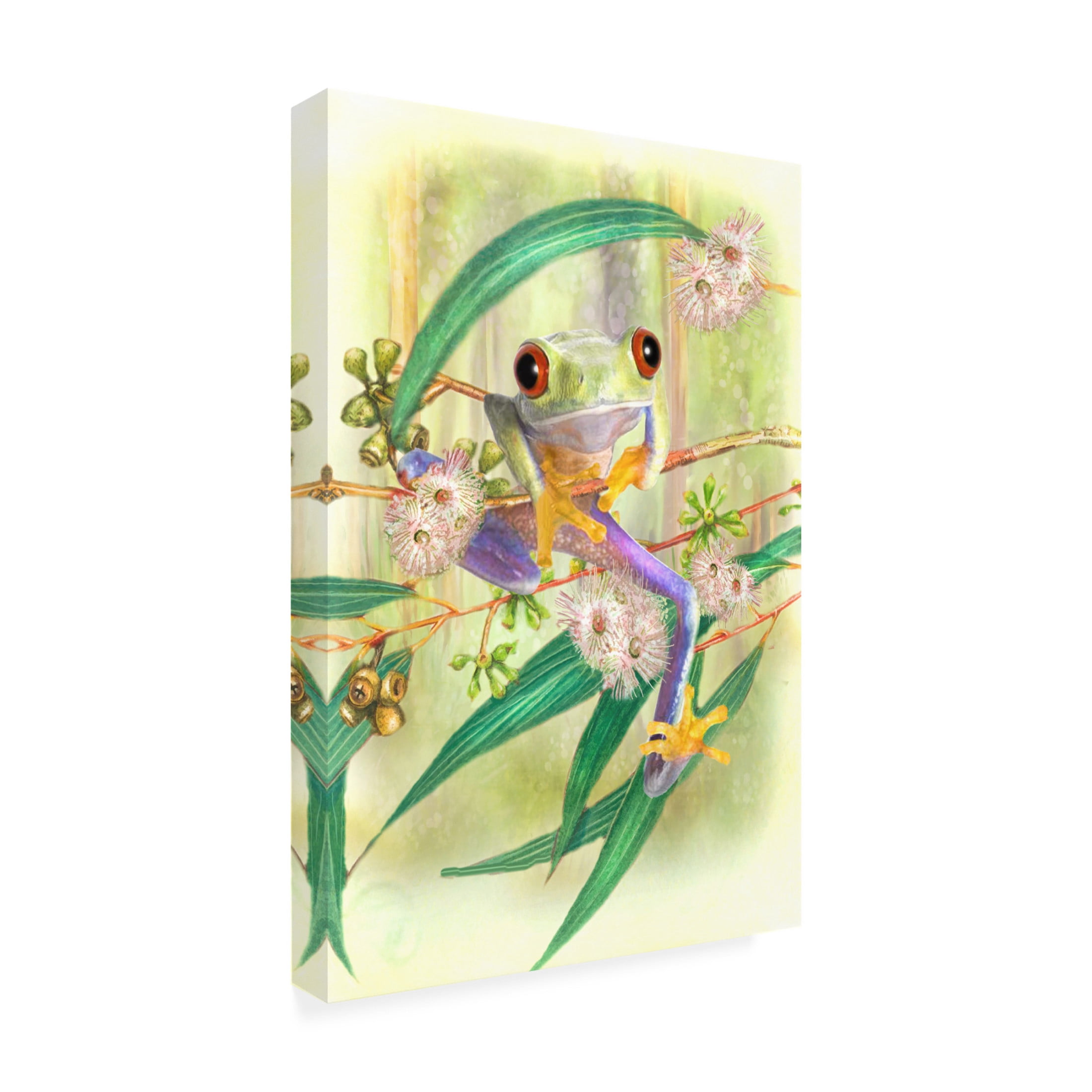 Canvas Wall Art - Trudi Simmonds 'Tree Frog' Wall Art for Living Room, Bedroom, or Office Décor by Trademark Fine Art - 30 x 47 Inches