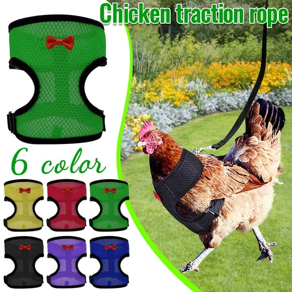 LSLJS Animal Traction Rope, Chicken Harness Hen Matching Belt, Comfortable, Breathable, Small Size, Suitable for Chicken, Duck or Goose