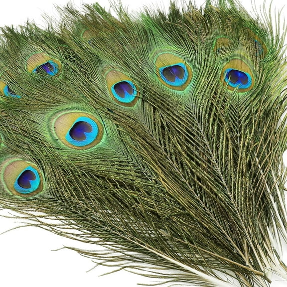 50PCS Real Natural Peacock Eye Feathers 10-12 inch,for DIY Craft,Floral Arrangements,Wedding,Home and Party Decorations Feathers,Natural