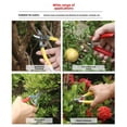 thumbnail image 2 of Tijeras de podar de acero inoxidable para jardín Tijeras de podar para jardín Tijeras para fruta fina para huerto Tijeras para recolectar fruta Tijeras para recolectar fruta Tijeras de jardinería, 2 of 5