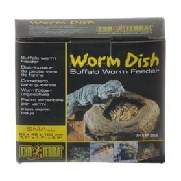 Exo terra canopy worm dish sale