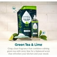 thumbnail image 4 of Natural Dish Soap Packs- Skin-Softening Plant-Based Dishwashing Soap, Non-Toxic Dish Soap, Organic Liquid Dishwashing Detergent Soap (Green Tea & Lime, 16 fl oz, 3 Pack), 4 of 4