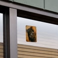 thumbnail image 5 of Bison Buffalo on the Praire Field Home Business Office Sign, 5 of 7