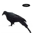 thumbnail image 6 of Realistic Crows, Handmade Crow Prop Feathered Black Crows Props Raven Bird Decor, 6 of 6