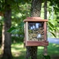 thumbnail image 5 of Pennington Red Cedar, Squirrel and Wild Bird Hopper Feeder, 1 lb. Capacity, 5 of 12