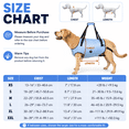 thumbnail image 3 of Coodeo Rehabilitation Support Series Polyester Adjustable Dog Lifting Aid Full Body Harnesses, Blue, XS (13 in to 16 in Chest Size), 3 of 8